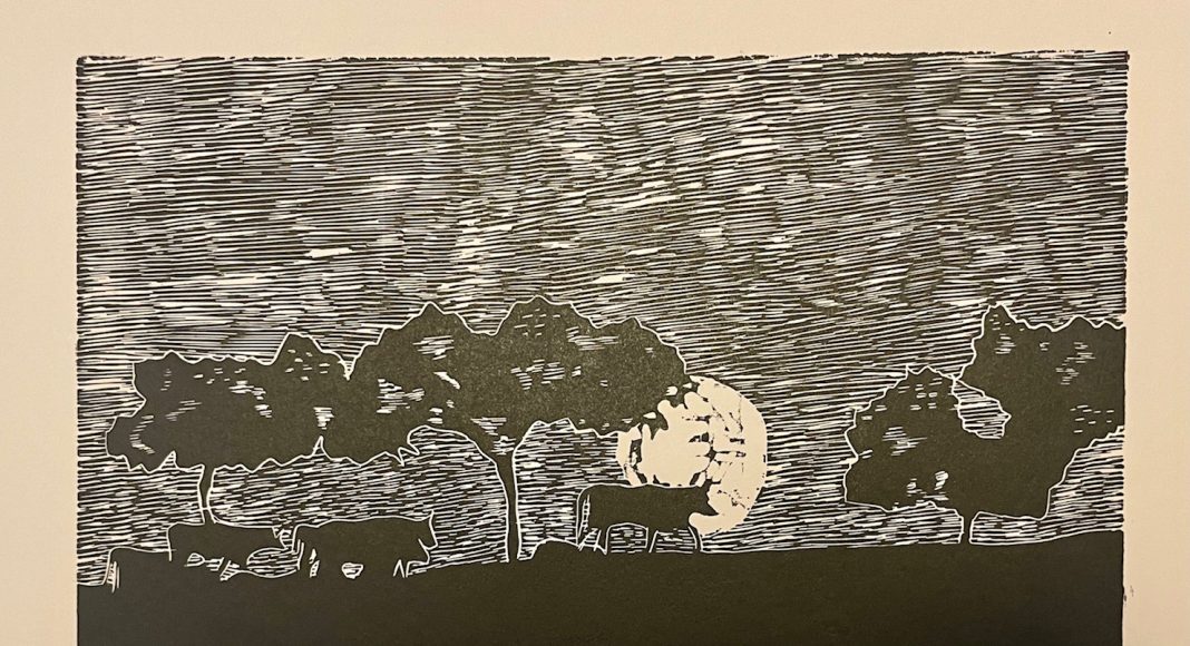 L’arte taurina in Italia: Giovanni Porzio