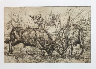 L’arte taurina in Italia: Tarik Berber