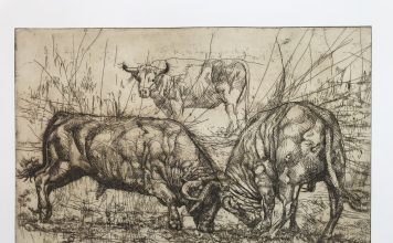 L’arte taurina in Italia: Tarik Berber